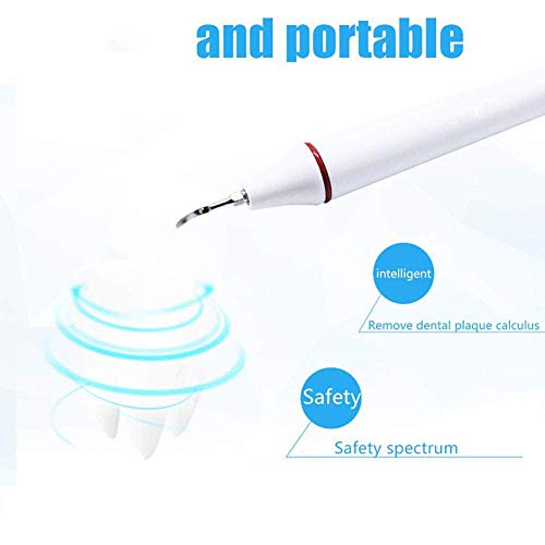 Mascota Perro Cepillo de Dientes Diente Piedra Limpieza Herramienta Diente Lavado Máquina Gato Perro Sarro Oral Limpieza Adecuado para Profesional Mascota Tiendas Y FamiliaBritish regulations