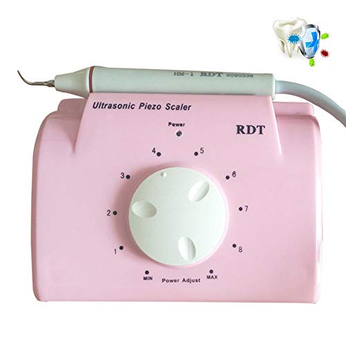 Mascota Perro Cepillo de Dientes Diente Piedra Limpieza Herramienta Diente Lavado Máquina Gato Perro Sarro Oral Limpieza Adecuado para Profesional Mascota Tiendas Y FamiliaBritish regulations