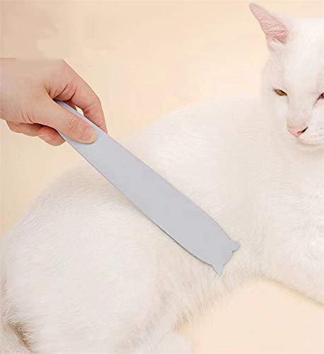 Mascotas Suministros de Púas Gato Peine Peine Peine Peine Para Cabello Flotante Británico Corto Gatito Masaje Cepillo (color al azar)