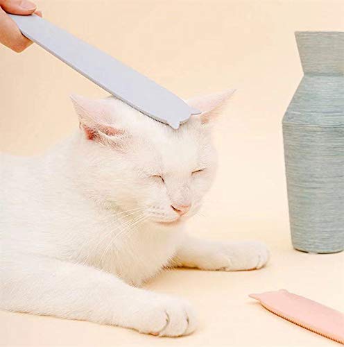 Mascotas Suministros de Púas Gato Peine Peine Peine Peine Para Cabello Flotante Británico Corto Gatito Masaje Cepillo (color al azar)