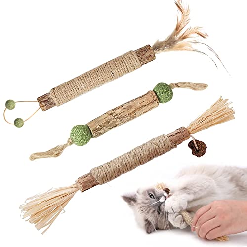 Masticar Palos Gato, 5 palitos Palitos de Masticar, Palitos de Hierba gatera, Hierba gatera palitos para molares, Se Utiliza para Limpiar los Dientes (3)