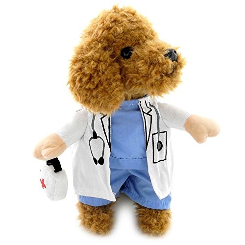 Maxgoods Disfraz de mascota, disfraz de enfermera, divertido y bonito para mascota, perro, gato, ropa para Halloween, Navidad, vacaciones, disfraces, vaqueros, ropa de vestir, uniforme