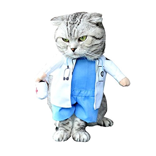 Maxgoods Disfraz de mascota, disfraz de enfermera, divertido y bonito para mascota, perro, gato, ropa para Halloween, Navidad, vacaciones, disfraces, vaqueros, ropa de vestir, uniforme