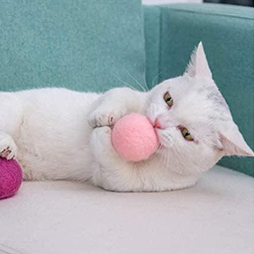 MaylFre Bola de Lana de Mascotas Bola de Lana de Mascotas Fieltro Pompones Fun Adorable Adorable Colorido Colorido Softo Quiet Field Bolas para Gato Lover Suministros de Artesanía 2 cm 10pcs