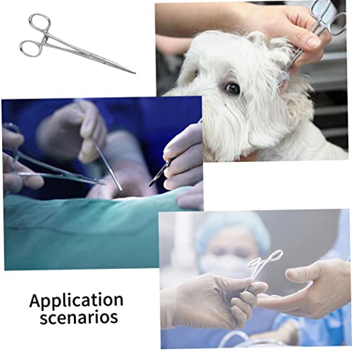 MaylFre Cizalas de Adelgazamiento para Mascotas Tijeras de Adelgazamiento de Mascotas Perro para Perros Cizallas de Acero Inoxidable Abrazadera de Limpieza de Orejas para Perros Gatos Rectos 12.5cm
