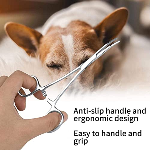 MaylFre Cizalas de Adelgazamiento para Mascotas Tijeras de Adelgazamiento de Mascotas Perro para Perros Cizallas de Acero Inoxidable Abrazadera de Limpieza de Orejas para Perros Gatos Rectos 12.5cm