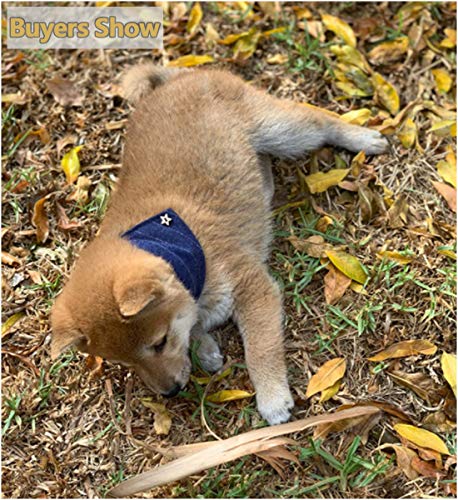MayPaw Collar Bandana para Perro, Estilo británico, Suave, para Cachorros y Gatos, de Piel triángulo, para Mascotas
