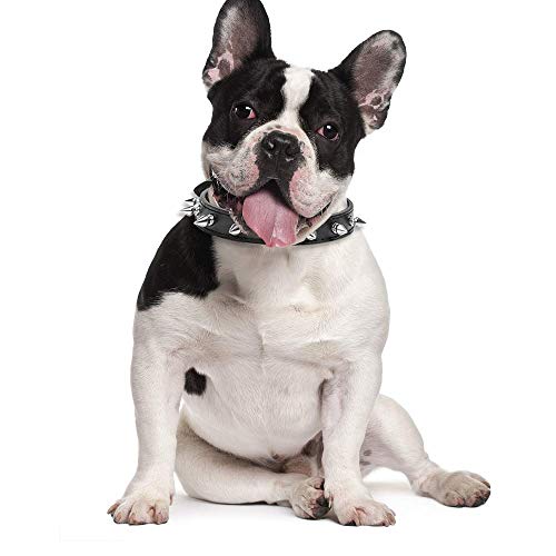 Mein HERZ 2 Pcs Collar de Perro con púas, Elegante Collar de Perro Punk Collar de Perro Tachuelas Collar de Perro para Perros, Tamaño Ajustable, para Perros pequeños y medianos, Rosa + Negro