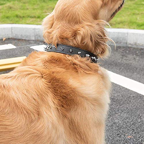 Mein HERZ 2 Pcs Collar de Perro con púas, Elegante Collar de Perro Punk Collar de Perro Tachuelas Collar de Perro para Perros, Tamaño Ajustable, para Perros pequeños y medianos, Rosa + Negro