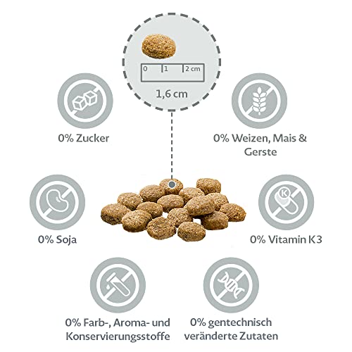 MERA Pure Sensitive Fresh Meat - Comida para Perros Adultos de Pavo y Patatas, alimento seco para Perros con una fórmula sin Cereales y 25% de Carne Fresca