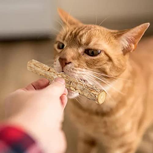 MERIGLARE 5X Catnip Stick Pasta de Natural Treat Molar Actinidia Polygama Toy Chew