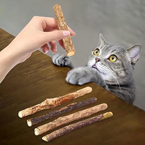 MERIGLARE 5X Catnip Stick Pasta de Natural Treat Molar Actinidia Polygama Toy Chew
