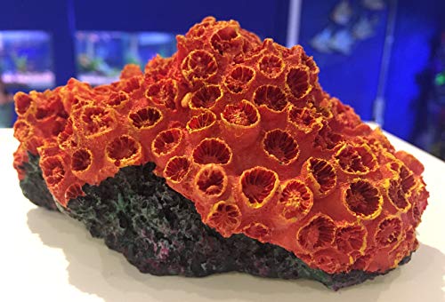 Mezzaluna Gifts Adorno de coral colorido para acuario, decoración de peces, color naranja y coral