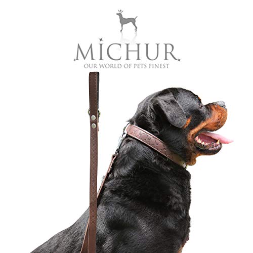 MICHUR Design Correa, Correa de Cuero para Perros, marrón con Corona y patrón de Cuadros, Cuero, Correa Plana, (Aprox.) 150 cm x 2 cm, Pasaje a Nuestro Collar Design