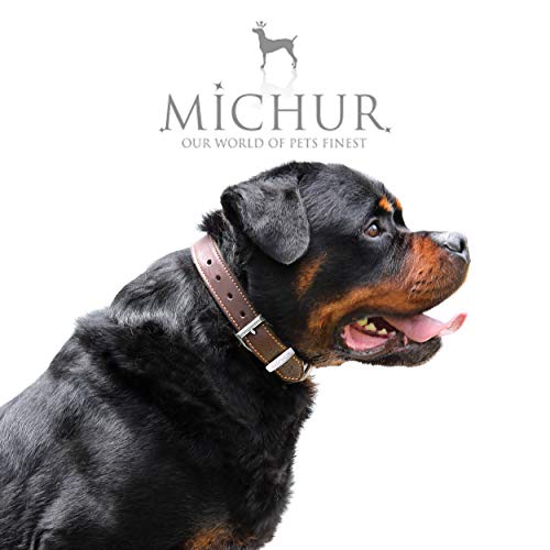 MICHUR Minimo Collar de Cuero para Perros, Cuello, marrón con Costuras Naranja y un Anillo para la Placa de identificación, Cuero, Disponibles en Diferentes tamaños, 35cm