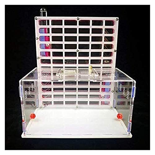 Mini Ant nidos de insectos hormiga Hábitat granja de hormigas Las hormigas Hormiguero Casa Niños Educactional Toy Watch hormigas cavar su propia casa túneles de las hormigas (hormigas viven no incluid