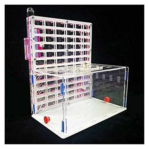 Mini Ant nidos de insectos hormiga Hábitat granja de hormigas Las hormigas Hormiguero Casa Niños Educactional Toy Watch hormigas cavar su propia casa túneles de las hormigas (hormigas viven no incluid