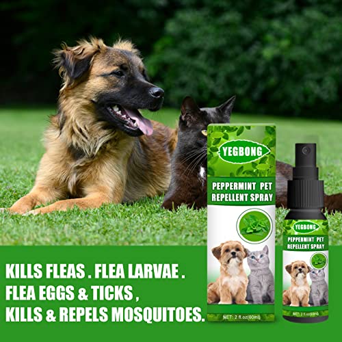 Mint Pet Mite Spray, No Rinse Pet Shampoo, Rids & Protects from Mange, Fleas, Ticks, Mites & Itchy Skin Problems, Paraben, Pesticide & Chemical Free (1PCS)