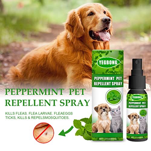 Mint Pet Mite Spray, No Rinse Pet Shampoo, Rids & Protects from Mange, Fleas, Ticks, Mites & Itchy Skin Problems, Paraben, Pesticide & Chemical Free (1PCS)