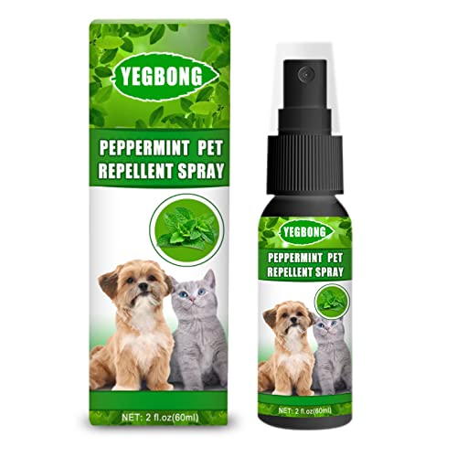 Mint Pet Mite Spray, No Rinse Pet Shampoo, Rids & Protects from Mange, Fleas, Ticks, Mites & Itchy Skin Problems, Paraben, Pesticide & Chemical Free (1PCS)