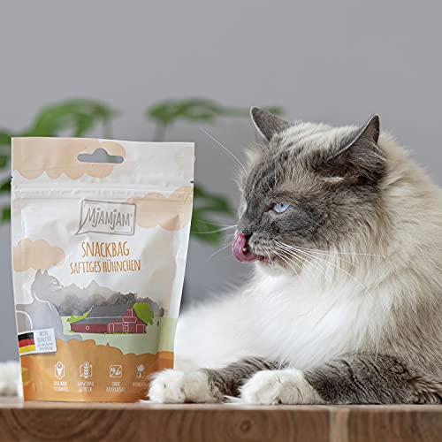 MjAMjAM - Bolsa para Aperitivos – salmón Salvaje culinario 125 g.