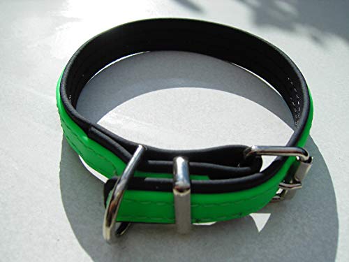 MJH Berta Beta Biothane - Collar (talla S, 25 mm), color negro y verde