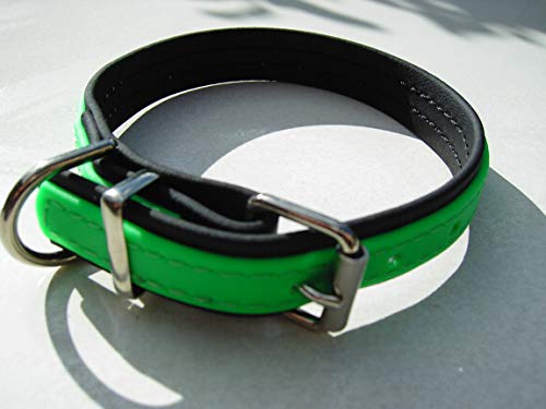 MJH Berta Beta Biothane - Collar (talla S, 25 mm), color negro y verde