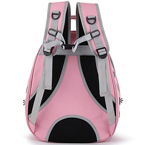 Mochila para pájaros, Jaula para pájaros de Viaje Transparente y Transpirable con Soporte para Percha para Loros, Bolsa de Viaje para pájaros, Colores Opcionales