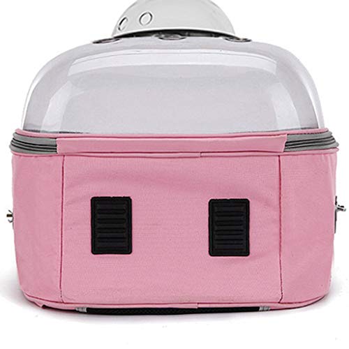 Mochila para pájaros, Jaula para pájaros de Viaje Transparente y Transpirable con Soporte para Percha para Loros, Bolsa de Viaje para pájaros, Colores Opcionales