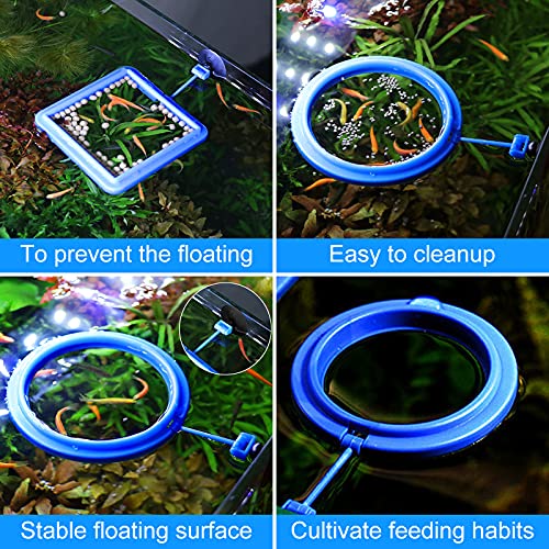 Molain Anillo de alimentación de peces, 2 piezas alimentador de peces acuario peces tortuga tanque accesorios alimentador círculo para Guppy, Bettas, pez dorado, tortuga