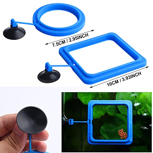 Molain Anillo de alimentación de peces, 2 piezas alimentador de peces acuario peces tortuga tanque accesorios alimentador círculo para Guppy, Bettas, pez dorado, tortuga