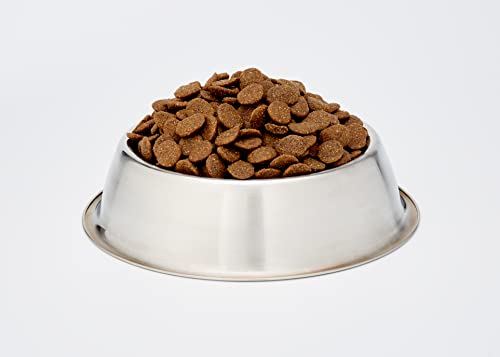Monge Adult Medium 12 kg