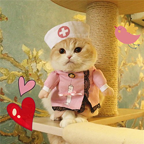 Morbuy Disfraz de Enfermera Ropa Traje Rosa para Mascotas Animal Doméstico Gato Perro con Dos Patas y Gorro para Halloween Navidad(S, color2)