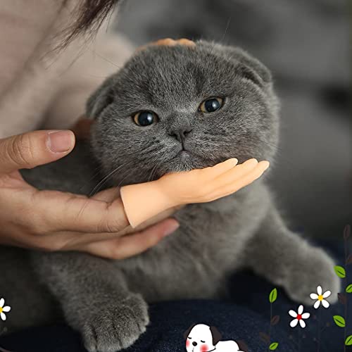 Morninganswer Peine para el Pelo de Gato, Accesorios para Gatos, Peine de Limpieza Bonito, Suministros para Gatos de PVC