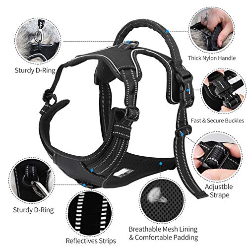 morpilot Arnés para Perro Transpirable, Arnés Pecho Antitirones Impermeable con Lineas Reflectante - Arnes de Perro Duradero con Chaleco Acolchado Ajustable para Perros Pequeños +Tazón Plegable Azul