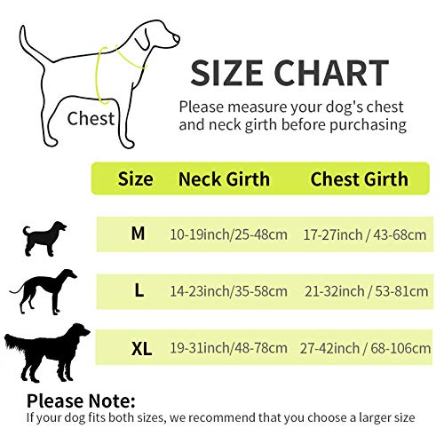 morpilot Arnés para Perro Transpirable, Arnés Pecho Antitirones Impermeable con Lineas Reflectante - Arnes de Perro Duradero con Chaleco Acolchado Ajustable para Perros Pequeños +Tazón Plegable Azul