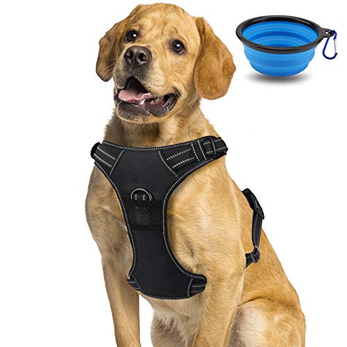 morpilot Arnés para Perro Transpirable, Arnés Pecho Antitirones Impermeable con Lineas Reflectante - Arnes de Perro Duradero con Chaleco Acolchado Ajustable para Perros Pequeños +Tazón Plegable Azul