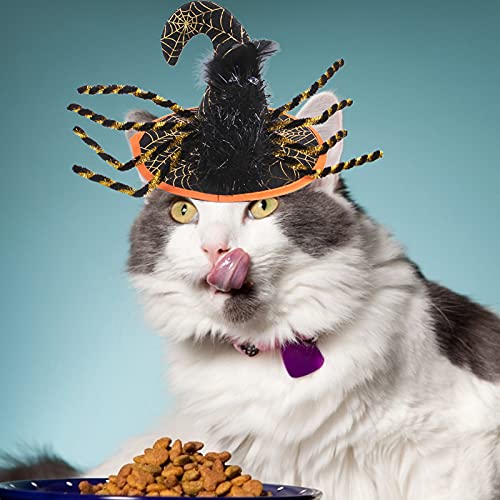 Mothcattl Sombreros para Perros - Gorra para Mascotas Diseño con Forma de araña Paño de Fieltro Ajustable Exquisito Perro Cosplay Sombreros para Festival - Naranja