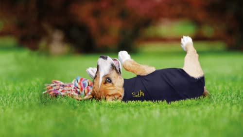 MPS Medical Pet Shirt, Perro, Azul, XS