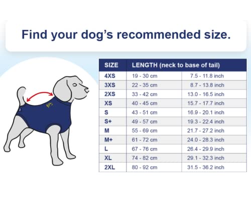 MPS Medical Pet Shirt, Perro, Azul, XS