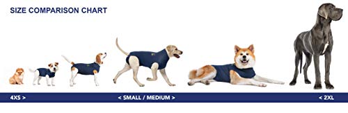 MPS Medical Pet Shirt, Perro, Azul, XS