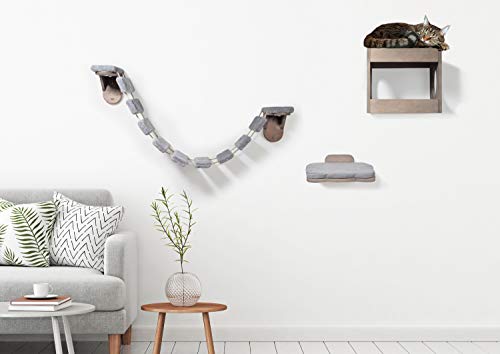 Muebles de diseño para Gatos con Cueva para Gatos y Pelota de Juego, árbol rascador y Cama para Gatos.