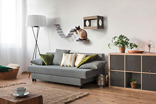 Muebles de diseño para Gatos con Cueva para Gatos y Pelota de Juego, árbol rascador y Cama para Gatos.