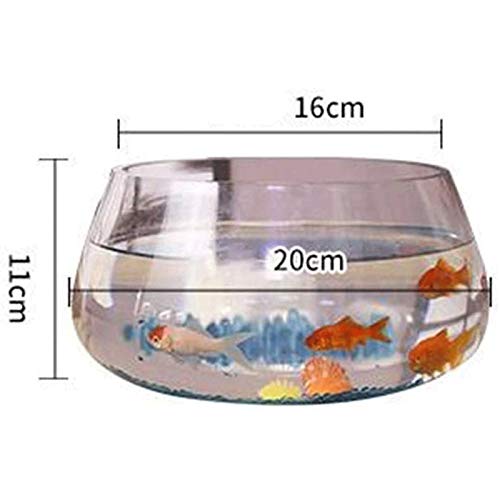 MUMUCW Única de Cristal Mini Tanque del Acuario Goldfish Bowl por Betta Glofish y Peces pequeños Negocio en casa Regalos de cumpleaños (Size : 20cm)