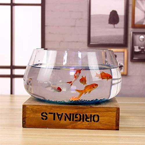MUMUCW Única de Cristal Mini Tanque del Acuario Goldfish Bowl por Betta Glofish y Peces pequeños Negocio en casa Regalos de cumpleaños (Size : 20cm)