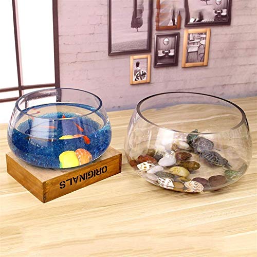 MUMUCW Única de Cristal Mini Tanque del Acuario Goldfish Bowl por Betta Glofish y Peces pequeños Negocio en casa Regalos de cumpleaños (Size : 20cm)