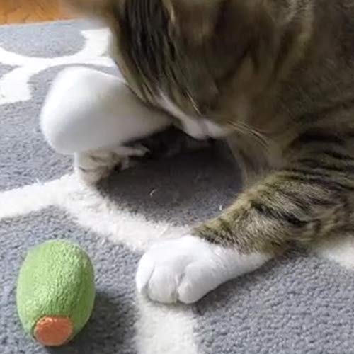 munchiecat - Juguete para Vino y Queso para Gatos, adopción de Gatos, Amantes del Vino, Regalo de inauguración de la casa