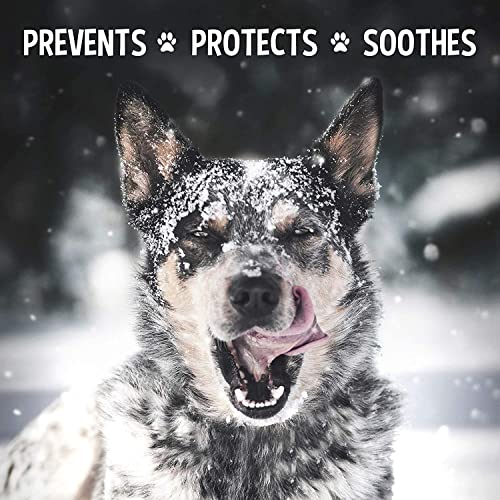 Musher's Secret Paw Protector Wax. Balsamo Perro Hecho con 100 por Ciento De Ceras Naturales. Protectores Patas Perros y Protección pezuñas para Todas Las Estaciones. 200 Gramos