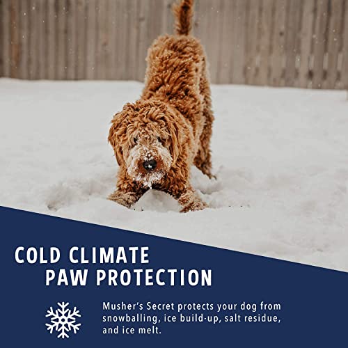 Musher's Secret Paw Protector Wax. Balsamo Perro Hecho con 100 por Ciento De Ceras Naturales. Protectores Patas Perros y Protección pezuñas para Todas Las Estaciones. 200 Gramos