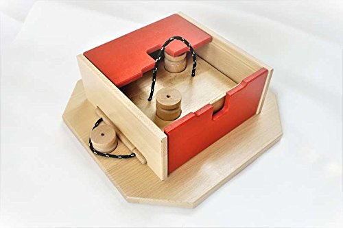 My Intelligent Dogs Juguete Interactivo de Madera para Perros Cubo Suizo, M